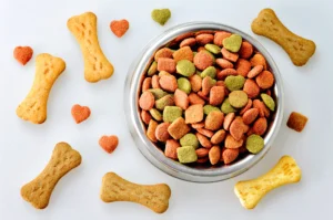 Dog Food in Bowl and Dog Biscuits scaled