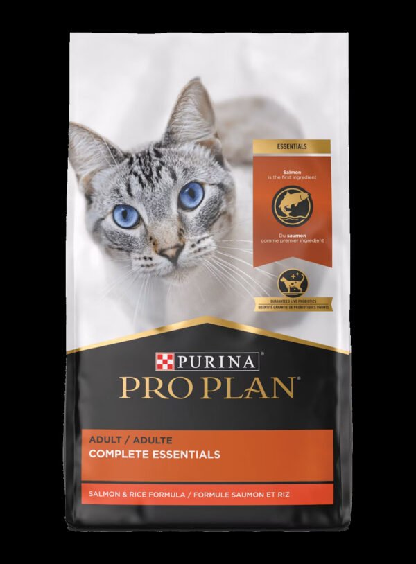 Complete Essentials Adult Dry Cat Food With Vitamins Probiotics Chicken & Rice 1