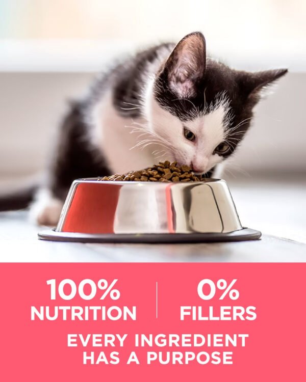 Plus Healthy Kitten Dry Cat Food Chicken 4