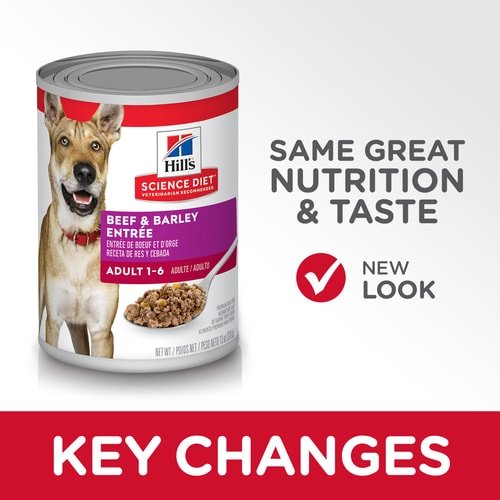 sd canine adult beef barley entree canned keyChanges 500