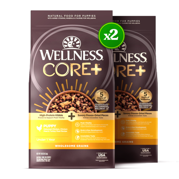 x2 X2 CORE RawRev Wholesome Grains High Protein Raw Turkey & Chicken Dog Food